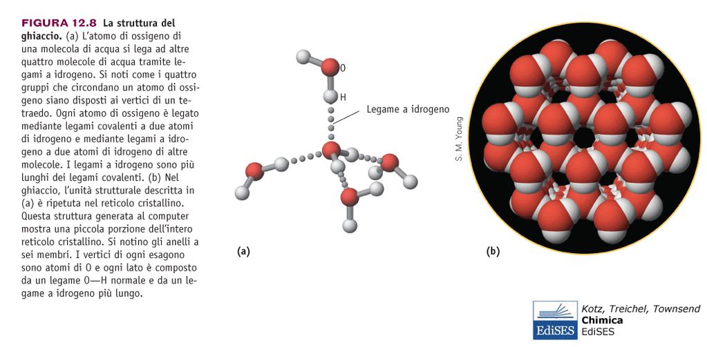 struttura di H 2 O Il