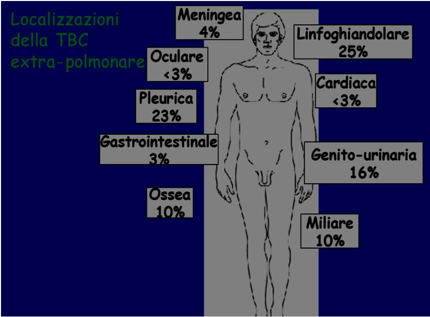 La malattia si manifesta nel corpo umano dopo due stadi: INFEZIONE TUBERCOLARE Quando l' individuo esposto al microrganismo, attraverso il contatto con un soggetto affetto da TBC, diventa infetto.