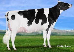 aaa: 423651 I Nato il: 20.01.2017 november NOVEMBER fc 0.9 FAMILY: FARNEAR-TBR- BH-GEORGIA VG-88 CA000012638274 SUPERHERO (SUPERSHOT X SUPERSIRE) X GRACE 3583 SPRING X GRACE JACEY C. n.d. new Tipo 2.