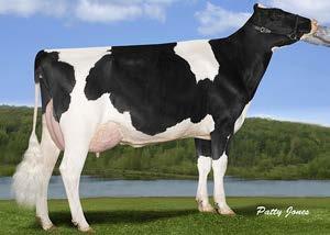 aaa: 435216 I Nato il: 10.04.2015 FAMILY: HENDEL BOLTON MUSIC EX-92 malcolm GILLETTE MALCOLM fc 0.9 CA000012076373 SILVER (MOGUL X SNOWMAN) X MIMOSA SHOT SHOTGLASS X MELODY PLANET C. 12.41 Tipo 1.