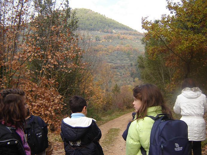 L Azienda Agricola è situata all interno del Parco Fluviale del Nera a soli 8 km dalla Cascata delle Marmore.