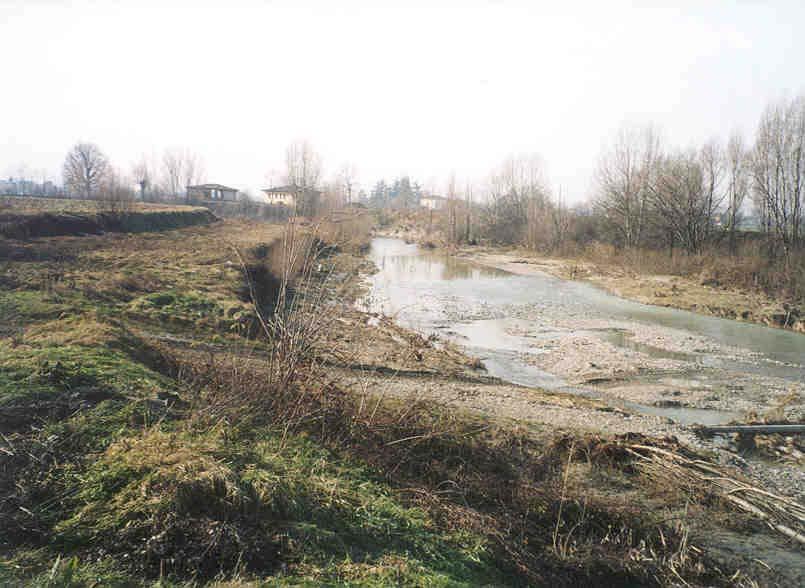 Il torrente scorre tra arginature. Localmente sono presenti, all interno dello stesso, alcuni depositi alluvionali.