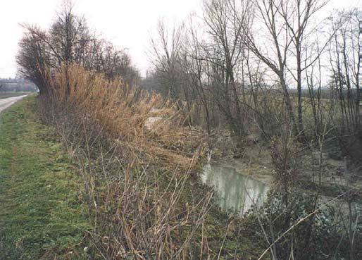 Sez. 8 SM Località Calcara-a valle (45 mslm) Il torrente scorre tra strette arginature.