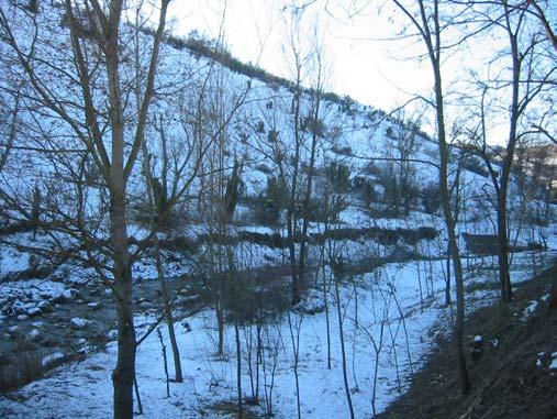 B) TRATTO COLLINARE, DA BADIA A PONTE RIVABELLA (Sez. 3 LV e Sez. 4 LV) Il bacino assume caratteristiche collinari con morfologia più dolce e pendenze meno accentuate.