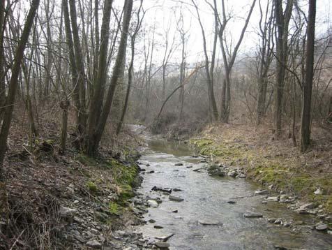 TORRENTE GHIAIA DI SERRAVALLE (GS) Tratto montano/collinare A) Tratto montano/collinare, dalla sorgente alla confluenza in T. Samoggia (Sez. 1 GS, Sez. 2 GS e Sez.