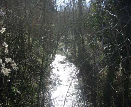 Il torrente scorre in un limitato alveo al di sotto della strada comunale di accesso alla valle.