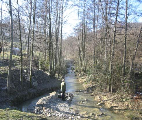 Sez. 2 SM Località Molino del Notaro (450 mslm) Alveo soggetto a regimazione idraulica (serie di briglie); vegetazione riparia in discrete condizioni strutturali e specifiche.