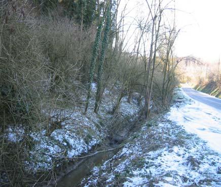 Il torrente scorre in un limitato alveo ai margini della strada comunale di accesso alla valle.