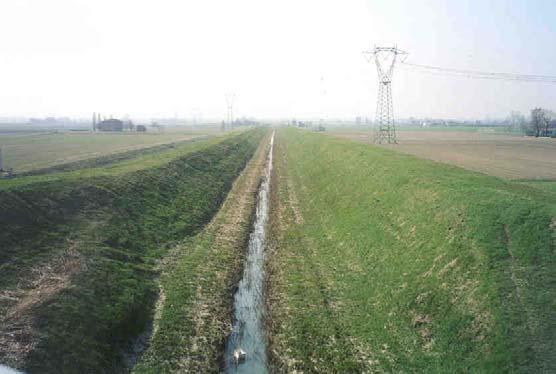 Sez. 3 GD Località Cantoniera-a monte S.P. Persicetana (30 mslm) Il torrente scorre tra arginature che si innalzano di poco rispetto al piano di campagna.