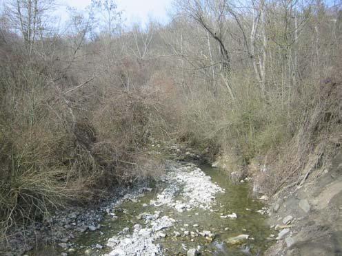 RIO DEI BIGNAMI (BG) Tratto montano A) Tratto montano, dalla sorgente alla confluenza in T. Samoggia (Sez.