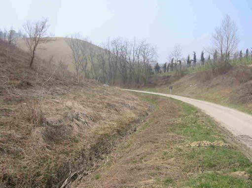 RIO MARZATORE (MZ) Tratto collinare A) Tratto collinare, dalla sorgente alla confluenza in T. Samoggia (Sez. 1 MZ e Sez.