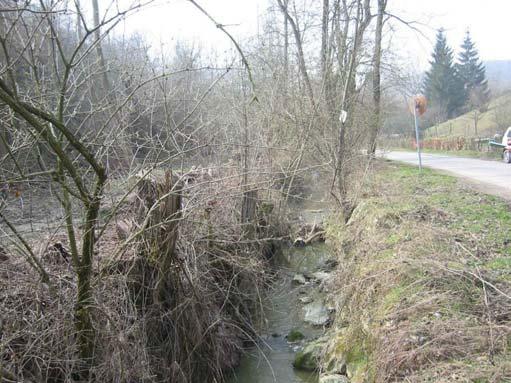 Sez. 2 MZ Località Tagliolina (140 mslm) Il torrente scorre in un incassato e stretto alveo ai margini della strada comunale di accesso alla valle.