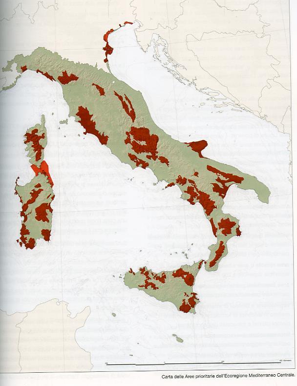 LA PUGLIA E LA SUA BIODIVERSITÀ Le aree a maggiore biodiversità