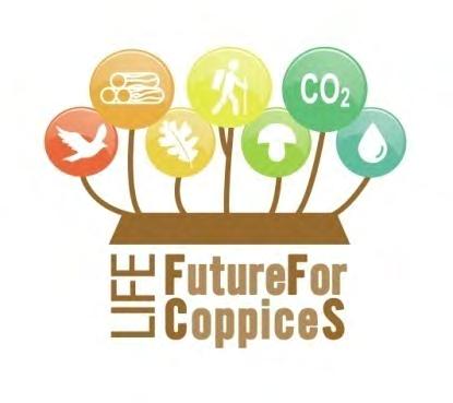 Gestione sostenibile delle foreste LIFE FutureForCoppiceS Gestione sostenibile dei boschi cedui nel Sud Europa: indicazioni per il futuro dall eredità di prove sperimentali