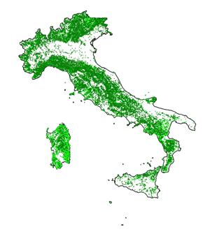 Ceduo e superficie forestale nazionale ~ 11 milioni di ha (Fonte: CUTFAA-CREA - INFC 2015) Indice di boscosità ~ 36% Il 30% delle foreste italiane ricade in