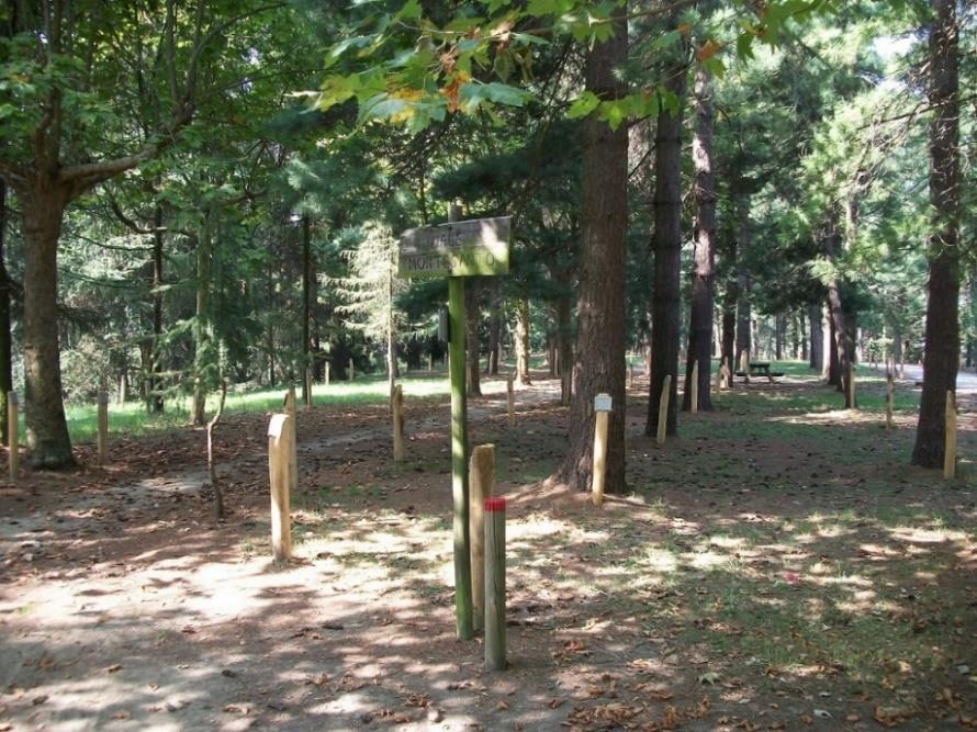 IL PARCO DELLA RIMEMBRANZA DI TORINO 1918-1925 1988 2018 In un cartello, della mostra del 1999, troviamo una sintesi dell idea che portò alla nascita del parco: QUATTRO DATE IMPORTANTI NELLA STORIA