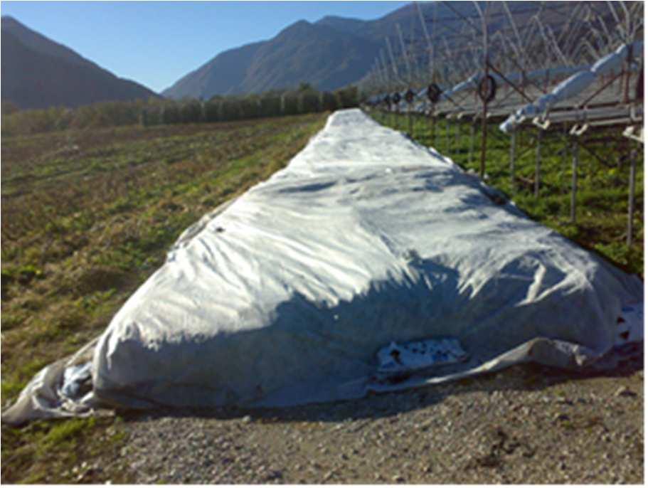Pag. 1 di 7 BOLLETTINO DIFESA INTEGRATA DI BASE MELO Le piante di melo sono ancora in riposo vegetativo in tutte le aree frutticole del Trentino;