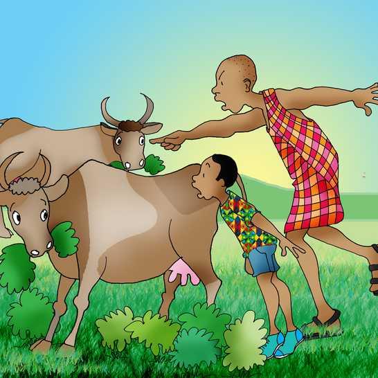 Una mattina, Odongo portò le mucche di sua nonna a pascolare. Incapparono nella fattoria del vicino. Il contadino era arrabbiato con Odongo.