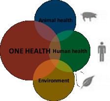 . ma la One Health non è semplicemente l integrazione medico-veterinaria o tra discipline