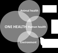 L integrazione è la conseguenza pratica della One Health, la sua metodologia di lavoro.