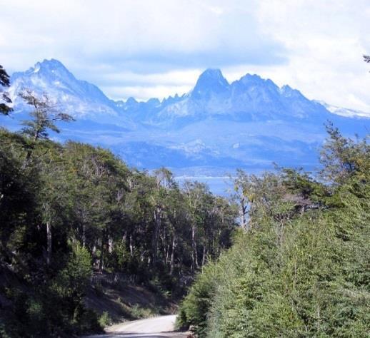 visitati al mondo), il Cerro Chaltén e il Cerro Torre. Arrivo e trasferimento all Hotel Quijote o similare, sistemazione nelle camere riservate e resto del pomeriggio a disposizione.