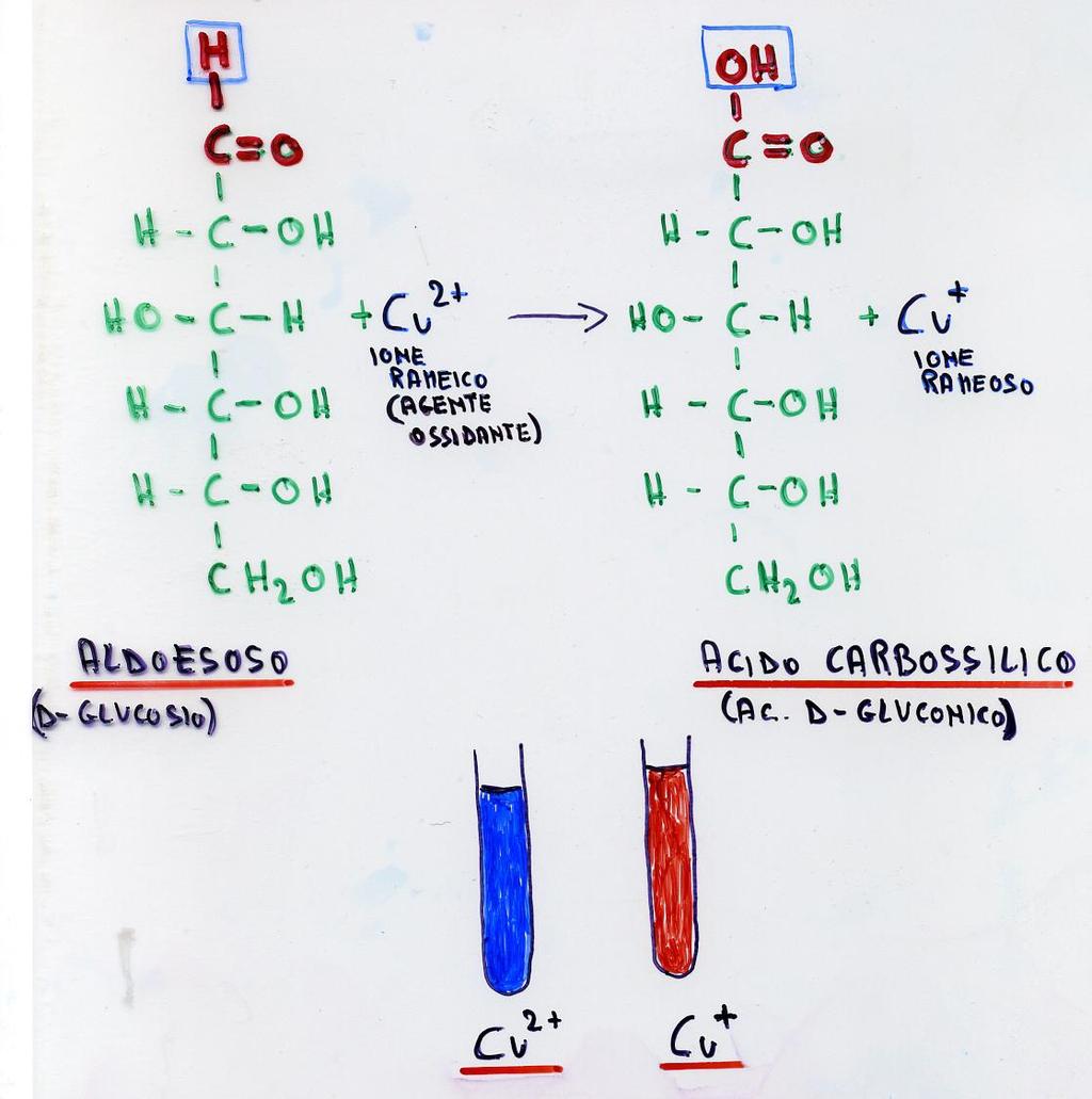 L OSSIDORIDUZIONE DEGLI ZUCCHERI I test di Benedict e di Fehling per gli zuccheri riducenti utilizzano la riduzione da Cu 2+ a Cu +.