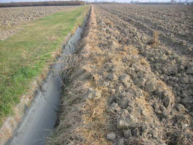 Canali e alvei fluviali costretti in spazi sempre più ridotti a causa dell elevato uso del suolo Le lavorazioni agricole si spingono sempre più vicino agli argini e ai cigli dei canali; Gli