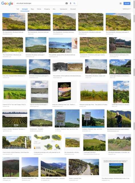 Ricerca con Google Immagini per parola: VITICULTURAL LANDSCAPES PERCEZIONE di VITICULTURAL LANDSCAPES