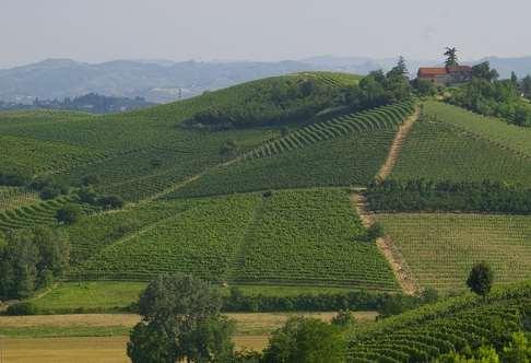 Convenzione UNESCO patrimonio immateriale (2003) (INVENTARI) Al fine di provvedere all individuazione in vista della salvaguardia, ciascun Stato contraente COMPILERÀ, conformemente alla sua