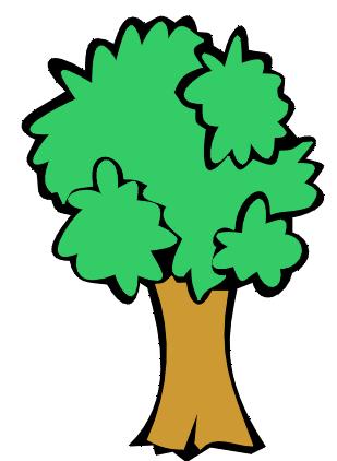 Equilibrio albero-colture: la densità Agroforestazione stabile (20-50 n/ha): la bassa densità rende