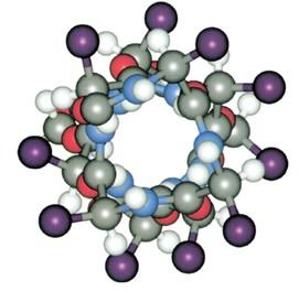 I piani peptidici sono paralleli all asse