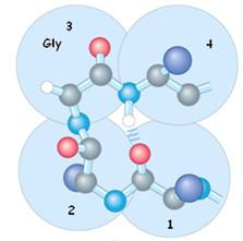 Gly, piccola e flessibile, occupa in