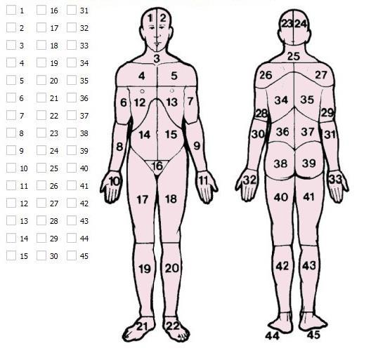 Le Caselle numerate identificano una zona del corpo come nell immagine.