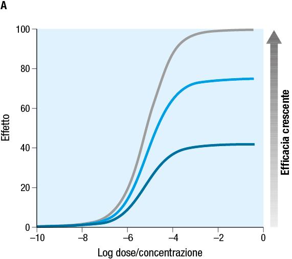 Profilo delle curve dose/concentrazione-effetto esprimenti il