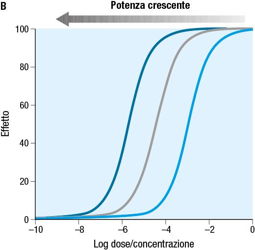 Profilo delle curve dose/concentrazione-effetto esprimenti il