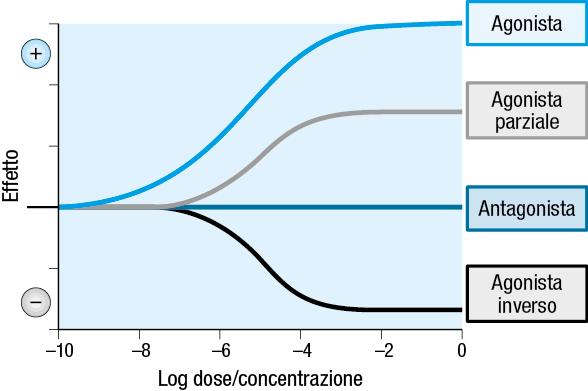 Esempio del profilo concentrazione/dose-risposta per l interazione recettoriale con un
