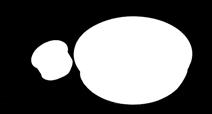 9 18.2 11.5 1'000 TNC16 16 18.5 10.3 1'000 TNC17.5 17.5 20 10.3 1'000 TNC19 19 23.2 10.3 1'000 TNC19.1 19.1 23.4 11.5 1'000 TNC20 20 22.6 11.5 1'000 TNC20.6 20.6 22.6 10.3 1'000 TNC22.2 22.2 25.8 11.