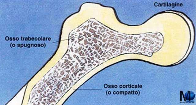 regioni formate da