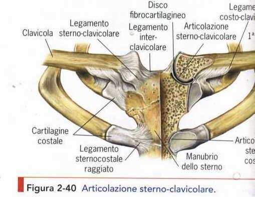 Classificazione