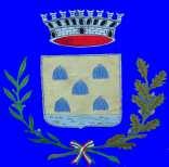 della polizia locale; Visto il decreto del Presidente dell Unione Lombarda Fluvialis Civitas n. 5 del 09.05.