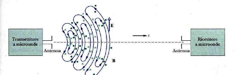 *1809 Malus e Young indagano le indicazioni di trasversalità della luce riflessa dal vetro La polarizzazione Il campo elettromagnetico è trasversale: i vettori E e B sono ortogonali alla direzione di