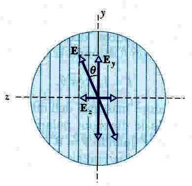 legge di Malus attraversando la lamina polarizzante, il campo E viene scomposto nella componente E y parallela alla direzione del filtro e nella componente E z perpendicolare alla direzione del