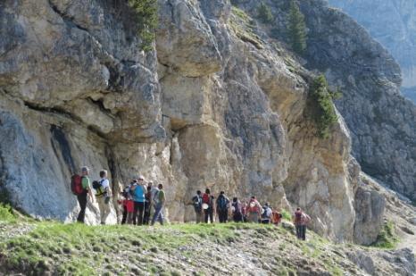 ORGANICO ISTRUTTORI DEL CORSO DIRETTORE ANE TRAVANUT Dario VICE