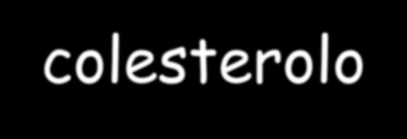 Destino del colesterolo epatico Incorporazione nelle VLDL -> IDL Trasporto ai tessuti extraepatici Escrezione diretta con la bile I calcoli biliari spesso sono