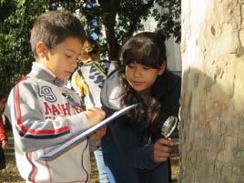 campigioco dai 3 ai 6 anni GIROTONDO organizzato da Coop. Accento SEDE: scuola dell infanzia Girotondo, via Allende n.