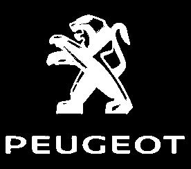 PEUGET ESAURIMENT STCK