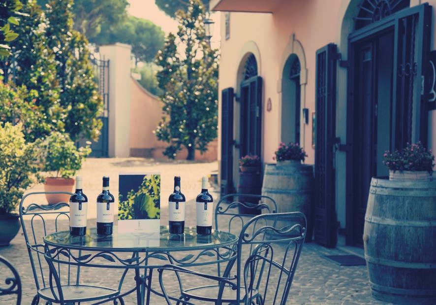 #IL SOGNO DI UNA VITA La Casale Vallechiesa è un azienda con più di 135 anni di esperienza nel mondo vinicolo, produttrice di vini laziali esclusivi e pluripremiati, presenti solo nei migliori