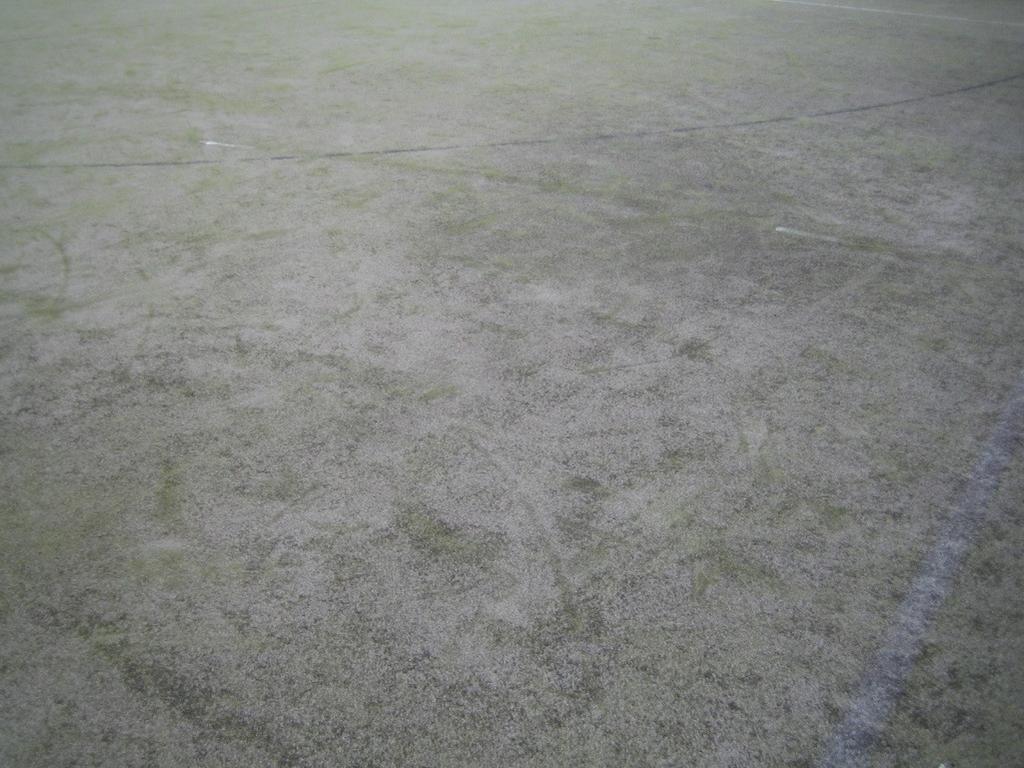 2. Lo stato di fatto La superficie di gioco del campo di hockey, versa oggi in pessime condizioni generali, contraddistinte dalla presenza di muffe e strappi nel tappetino di erba sintetica.