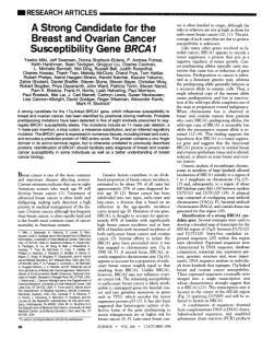 Looking for BRCA 1 and BRCA 2 1990s Localisation of the breast cancer susceptibility gene (BRCA1) on 17q12 21 2 1994 1994