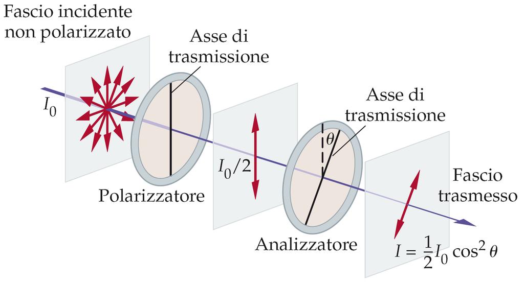 5. La polarizzazione È possibile combinare un filtro polarizzatore e un analizzatore; l intensità finale è 5.